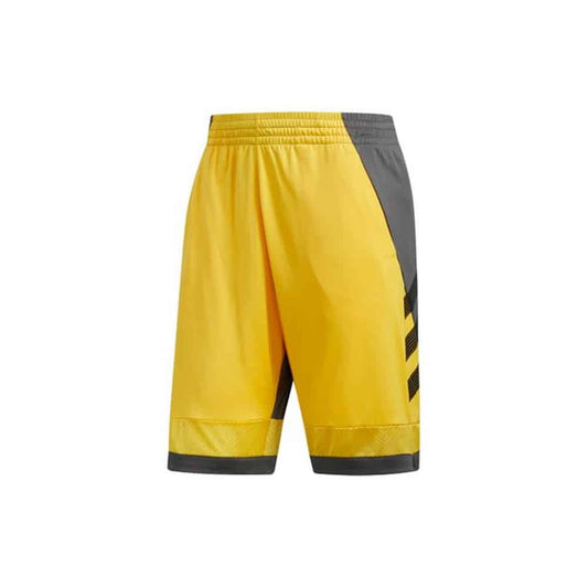 Adidas Men's Pro Bounce Shorts מכנס לגבר (7751665975543)